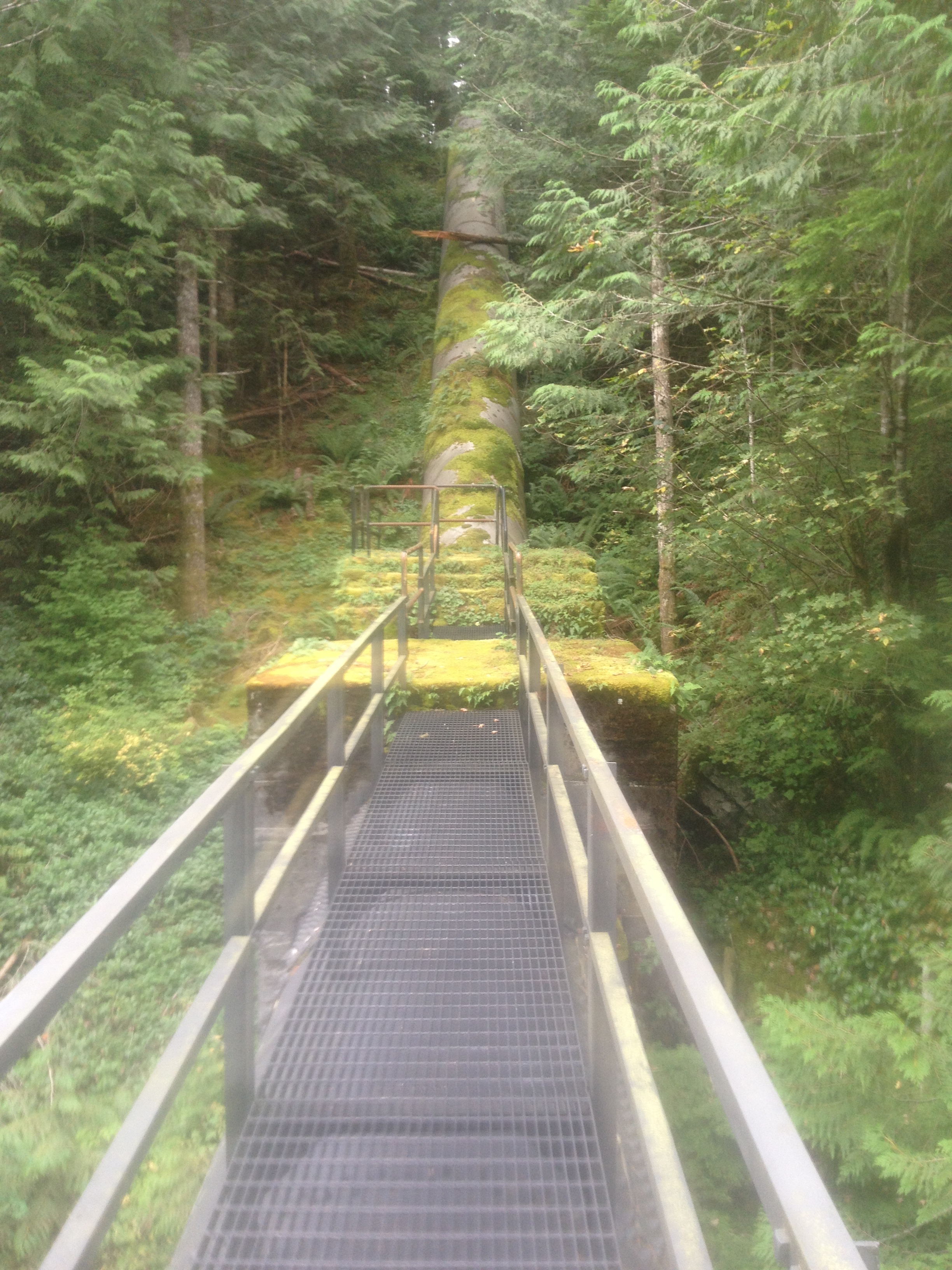 Cedar Falls Pinstock and Trestle Recoating